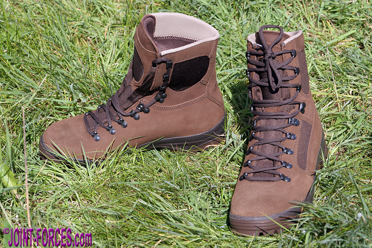 Mathis Udholdenhed punkt Combat Boot Archives 9 ~ MEINDL Desert Fox CHL Boot | Joint Forces News