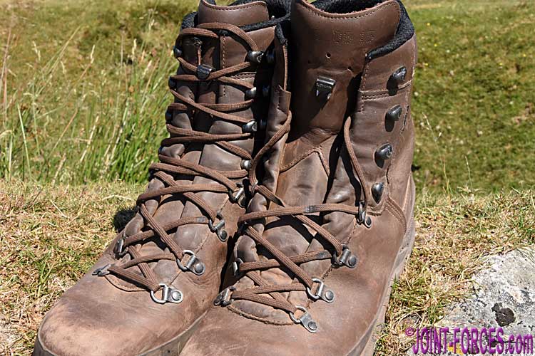 LOWA Mountain Boots Brown | Joint Forces News