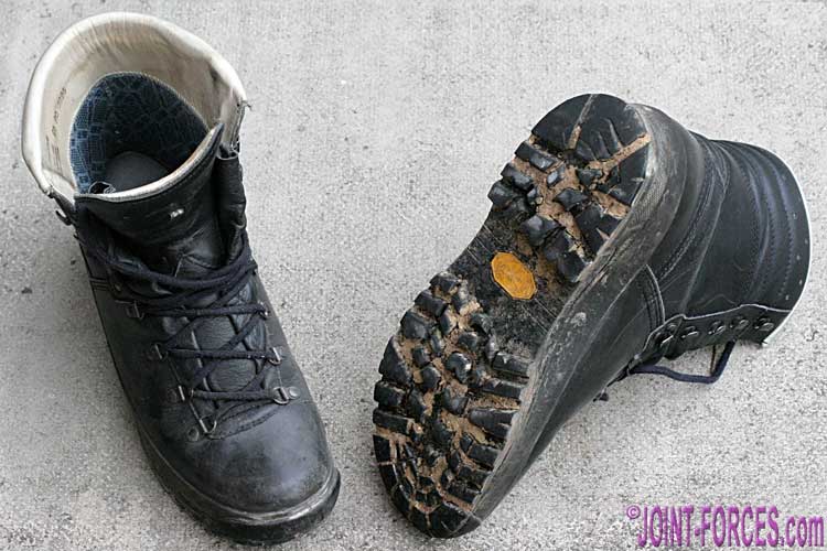 LOWA Mountain Boots GTX | Joint Forces