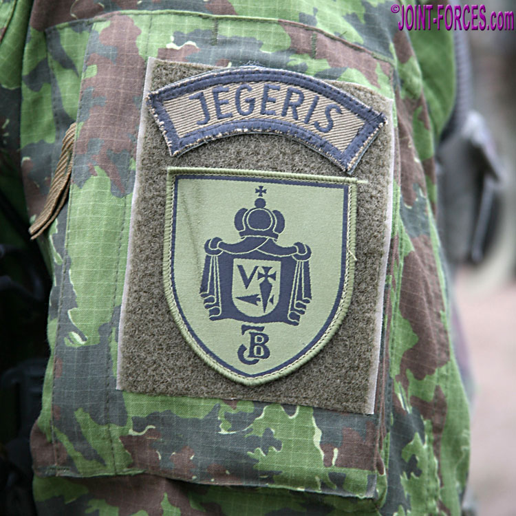 Subdued Lithuania Lithuanian Special Operations Force SPS YPT Patch Variant 