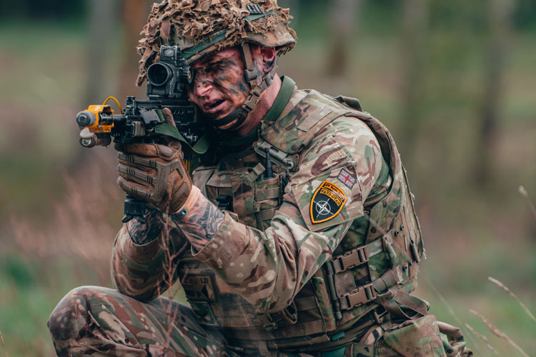 Op CABRIT ~ Light Dragoons Exercise In | Joint Forces News