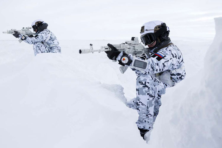Russian Arctic brigade uniform 