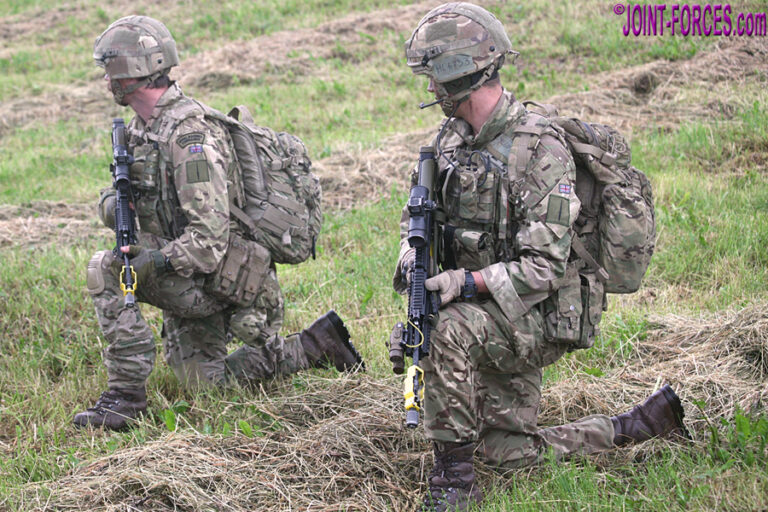 UK DCP ~ Capability To Deliver And Sustain Operations? | Joint Forces News