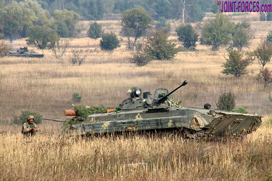 Ukrainian troops in training